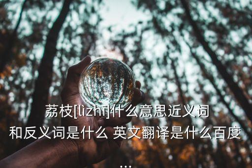 荔枝英文