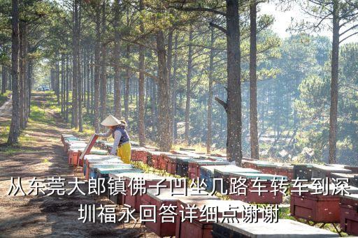 從東莞大郎鎮佛子凹坐幾路車轉車到深圳福永回答詳細點謝謝