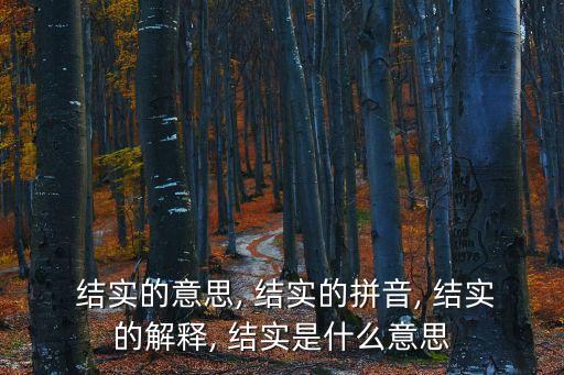  結實的意思, 結實的拼音, 結實的解釋, 結實是什么意思