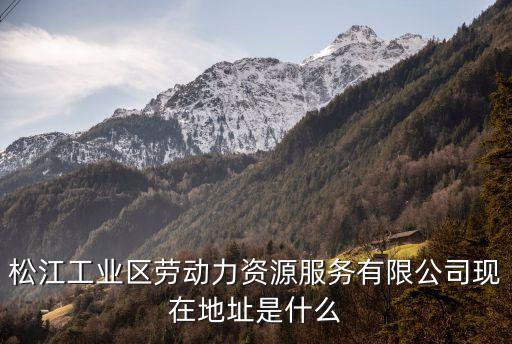 松江工業(yè)區(qū)勞動力資源服務(wù)有限公司現(xiàn)在地址是什么
