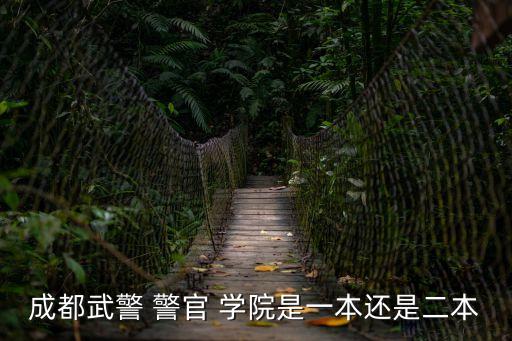 武警部隊(duì)警官學(xué)院,武警警官學(xué)院畢業(yè)去向:畢業(yè)后為武警官員或公務(wù)員