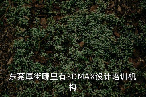 東莞厚街哪里有3DMAX設計培訓機構