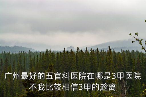 廣州最好的五官科醫院在哪是3甲醫院不我比較相信3甲的趁離
