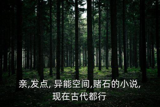 親,發點, 異能空間,賭石的小說,現在古代都行