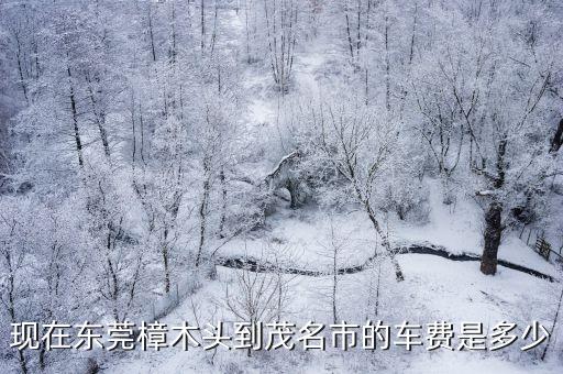 現在東莞樟木頭到茂名市的車費是多少