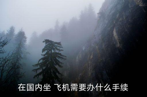 坐飛機(jī)需要什么證件,一歲寶寶坐飛機(jī)需要什么證件