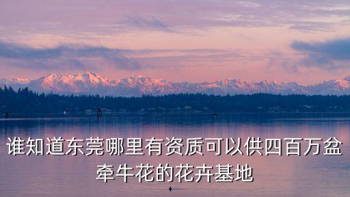 誰知道東莞哪里有資質可以供四百萬盆牽牛花的花卉基地