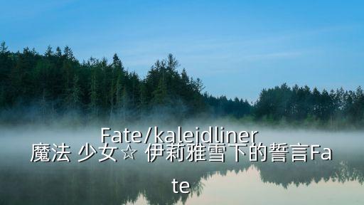Fate/kaleidliner 魔法 少女☆ 伊莉雅雪下的誓言Fate
