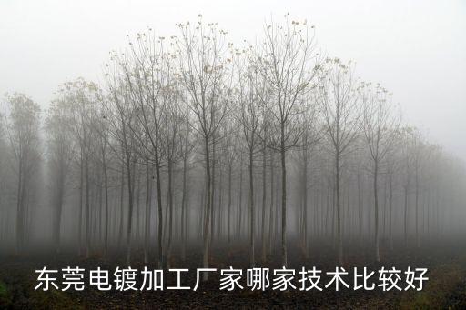 東莞電鍍加工廠家哪家技術比較好