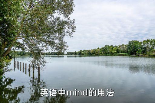 英語中mind的用法
