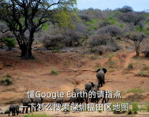 懂Google Earth的請指點一下怎么搜索深圳福田區地圖
