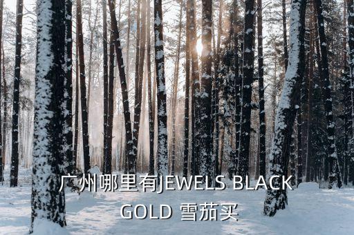 廣州哪里有JEWELS BLACK GOLD 雪茄買