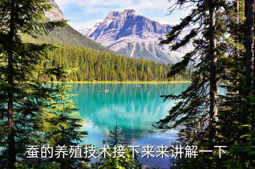 蠶室,養(yǎng)殖桑蠶需定期消毒哪些物品有哪些?
