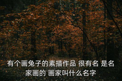 有個畫兔子的素描作品 很有名 是名家畫的 畫家叫什么名字