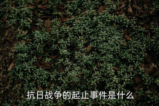 抗日戰爭,抗日戰爭十大重要性