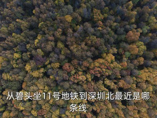 深圳北到碧頭站地鐵，從碧頭坐11號地鐵到深圳北最近是哪條線