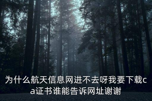 為什么航天信息網(wǎng)進不去呀我要下載ca證書誰能告訴網(wǎng)址謝謝