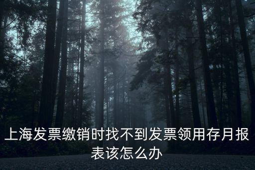 上海發票繳銷時找不到發票領用存月報表該怎么辦