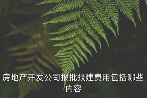 房地產開發公司報批報建費用包括哪些內容