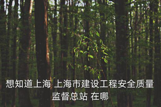 想知道上海 上海市建設工程安全質量監督總站 在哪