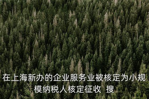 在上海新辦的企業服務業被核定為小規模納稅人核定征收  搜
