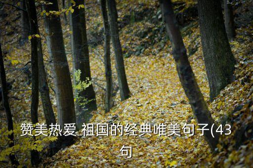 向祖國致敬,向祖國敬禮向英雄致敬手抄報怎么畫最美?