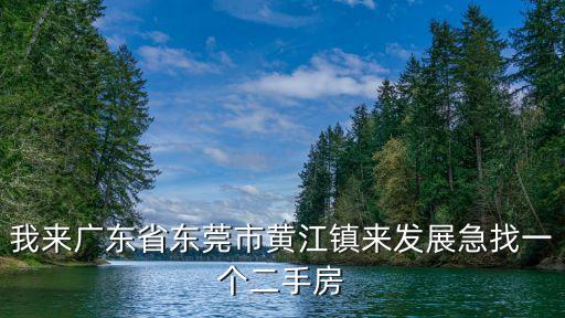 東莞黃江房地產行情，東莞黃江房地產哪家好