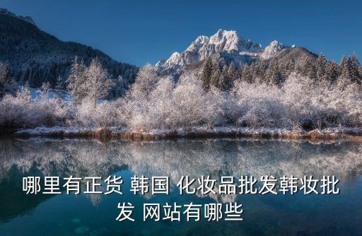 哪里有正貨 韓國(guó) 化妝品批發(fā)韓妝批發(fā) 網(wǎng)站有哪些