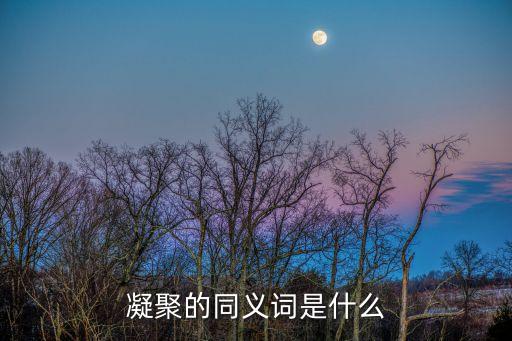 凝聚的同義詞是什么