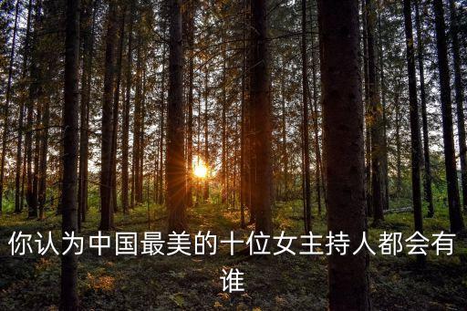 你認為中國最美的十位女主持人都會有誰