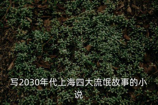 寫2030年代上海四大流氓故事的小說