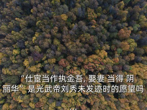娶妻當(dāng)?shù)藐廂惾A,娶妻當(dāng)娶陰麗華的意思