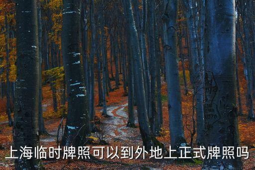 上海臨時(shí)牌照可以到外地上正式牌照嗎