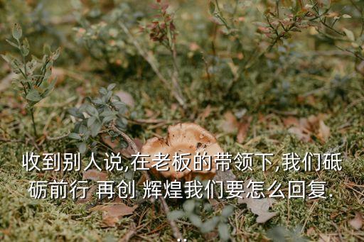 收到別人說,在老板的帶領下,我們砥礪前行 再創 輝煌我們要怎么回復...