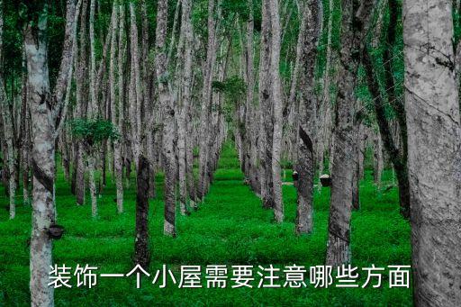 深圳新新美辰家具蒲松柏，裝飾一個小屋需要注意哪些方面