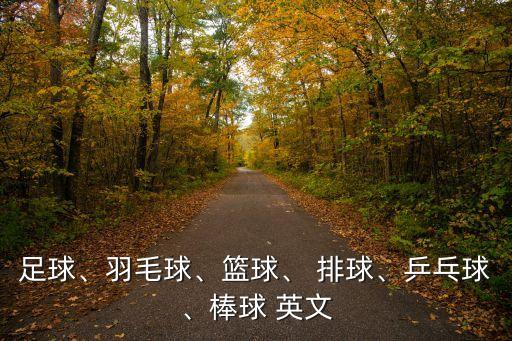 排球英文,排球的英文意思和相關用法