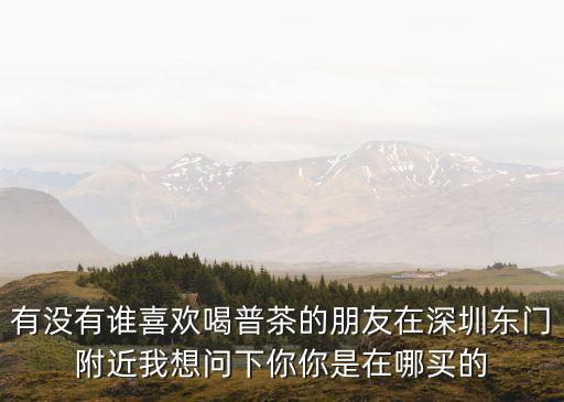深圳友茶水果茶，有沒有誰喜歡喝普茶的朋友在深圳東門附近我想問下你你是在哪買的