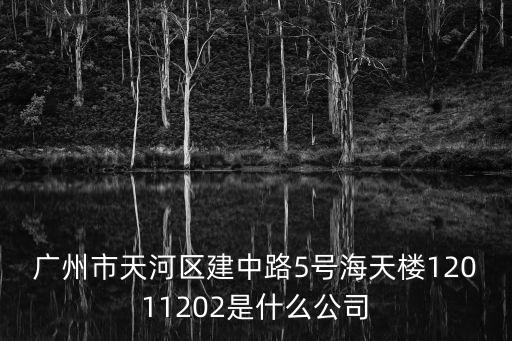 廣州市天河區建中路5號海天樓12011202是什么公司