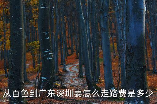 從百色到廣東深圳要怎么走路費是多少