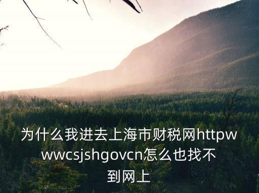 為什么我進去上海市財稅網httpwwwcsjshgovcn怎么也找不到網上
