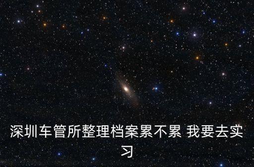 深圳車管所整理檔案累不累 我要去實(shí)習(xí)
