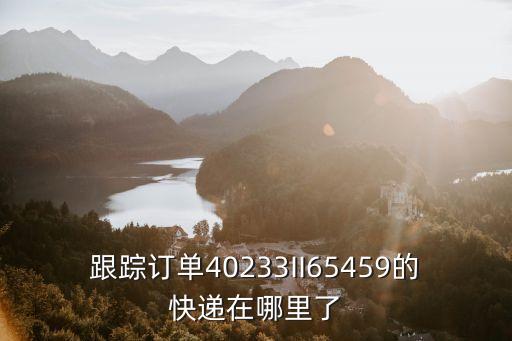 跟蹤訂單40233II65459的快遞在哪里了