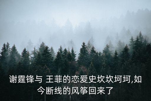 王菲婚姻,王菲有過兩段婚姻嗎?