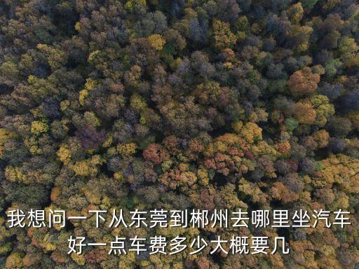 我想問一下從東莞到郴州去哪里坐汽車好一點車費多少大概要幾