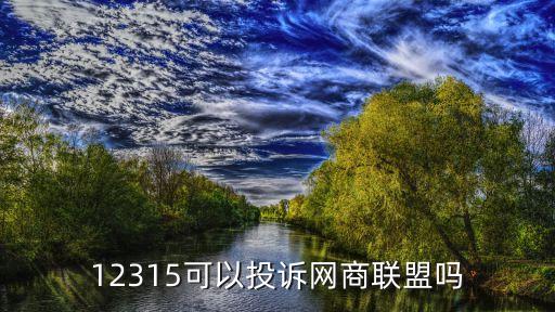 12315可以投訴網商聯盟嗎