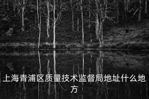 上海青浦區質量技術監督局地址什么地方
