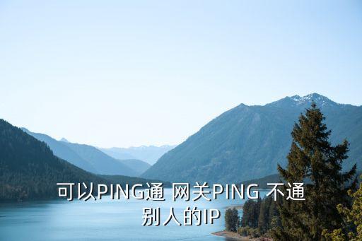 網關ping不通,ping自己的默認網關ping不通