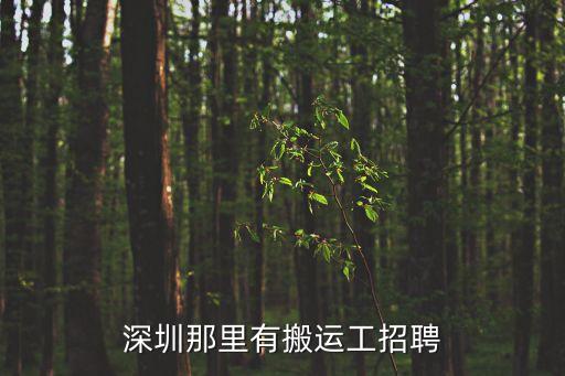 深圳那里有搬運工招聘