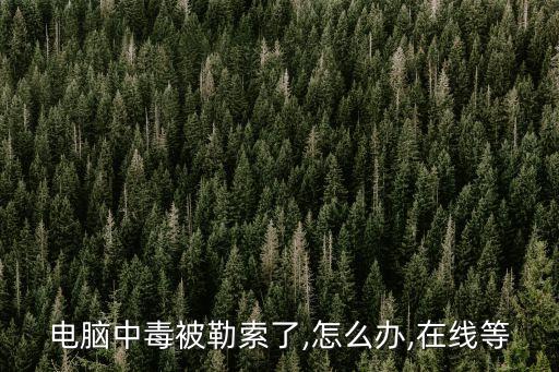 電腦中毒被勒索了,怎么辦,在線等