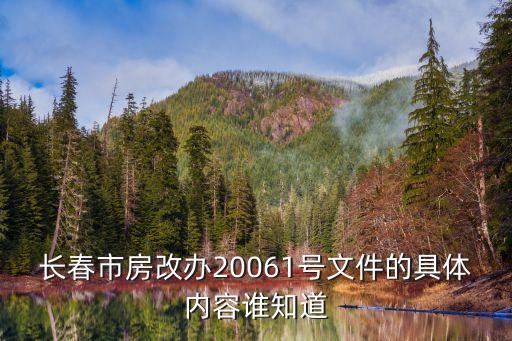 祝業精，誰是長春市大哥呢